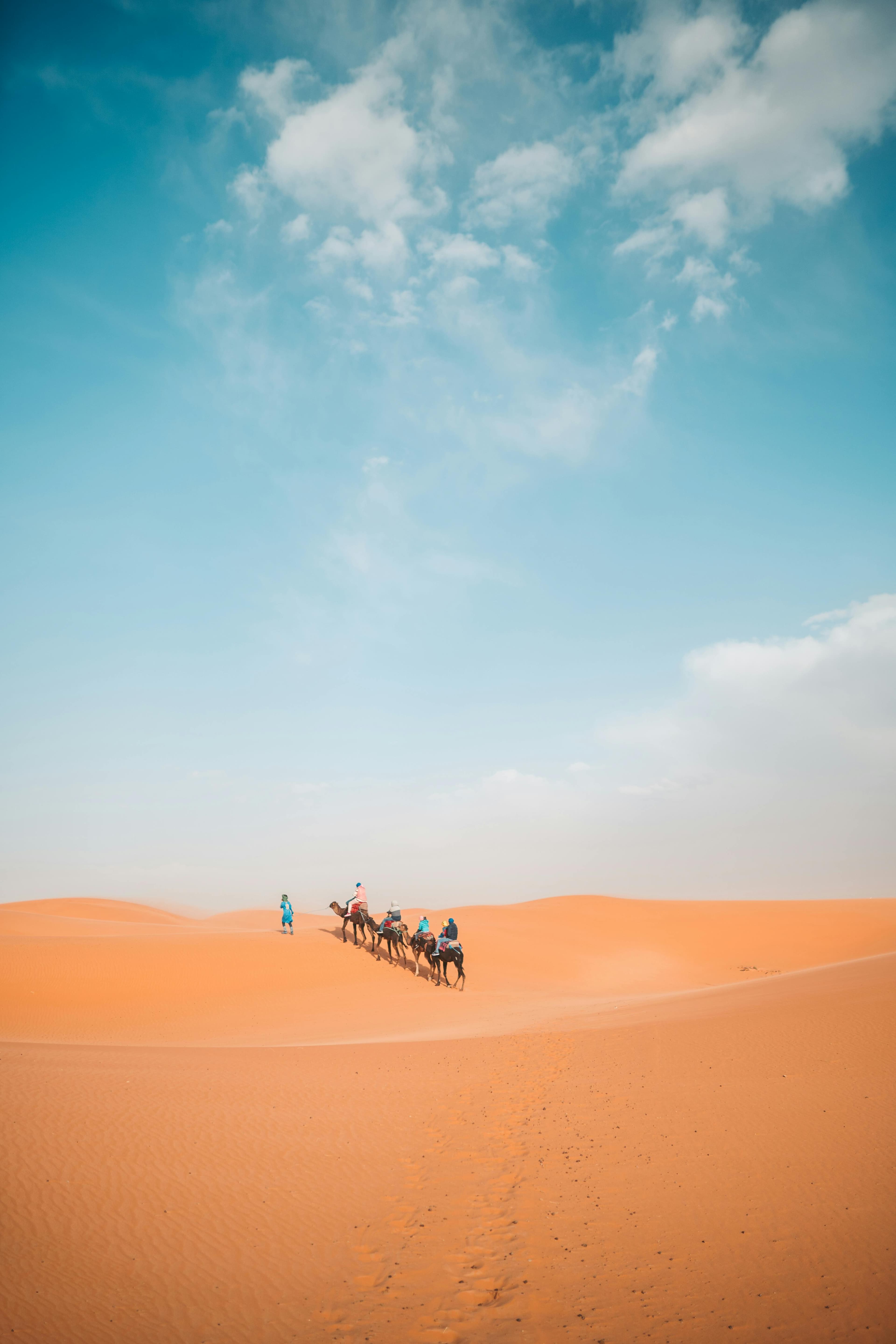 Golden dunes of the Sahara Desert