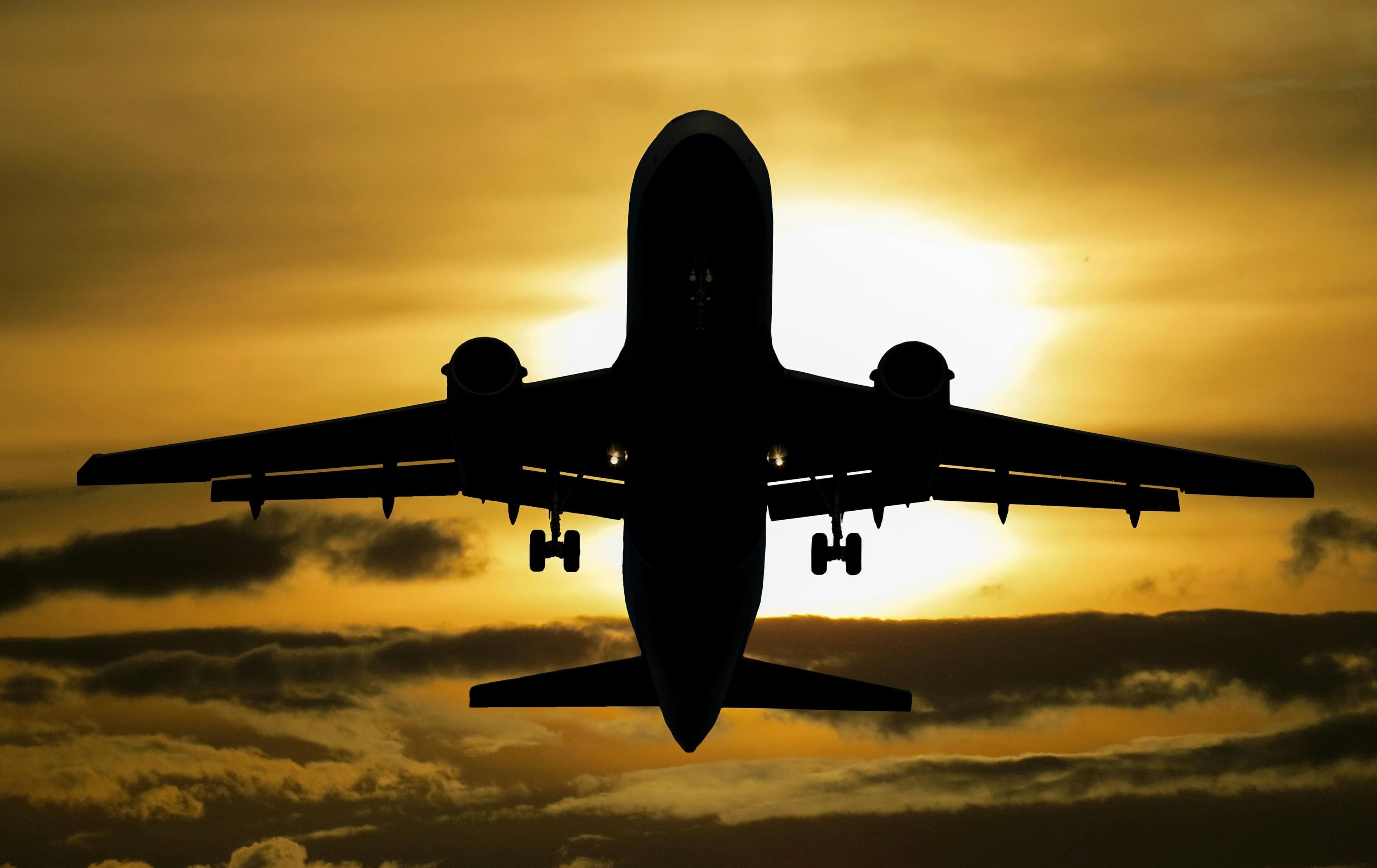 International Travellers